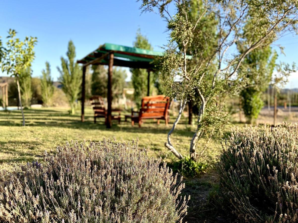 Cabañas EcoNature Valle Grande  Exterior foto